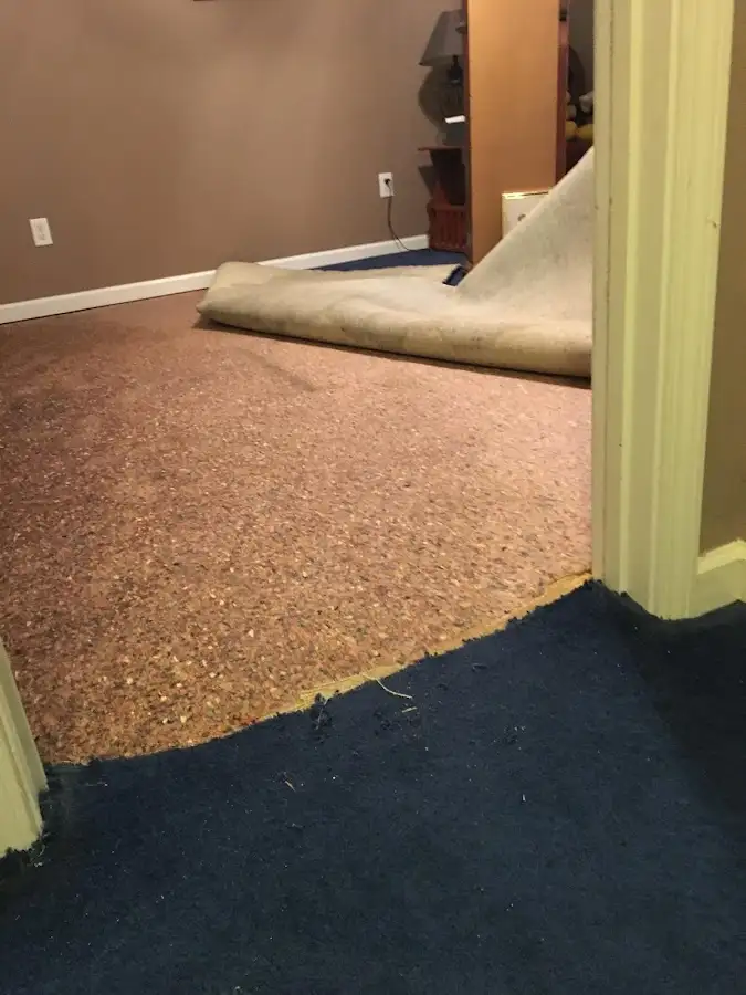 Carpet pad removal revealing water damage during Drying & Dehumidification in Wolfeboro