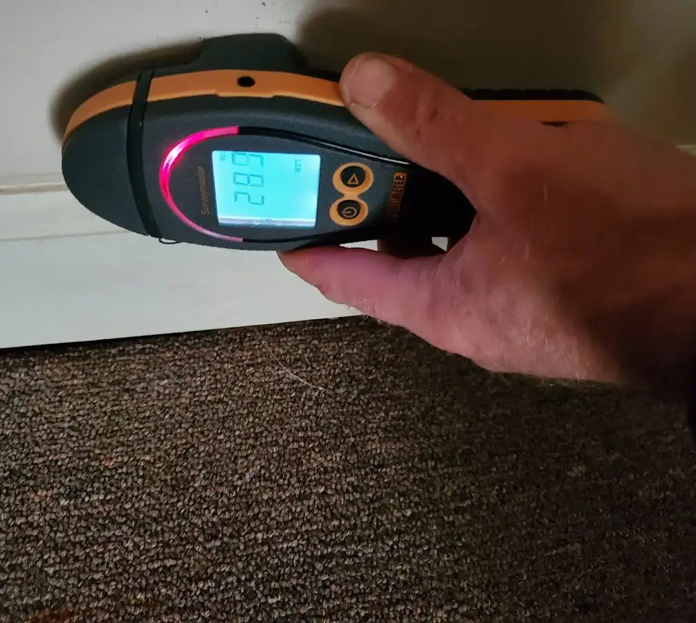 Moisture detection at baseboard during Sewage Cleanup & Sanitation in Wolfeboro
